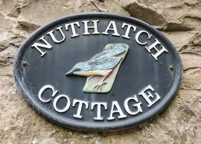 Nuthatch 斯基普顿